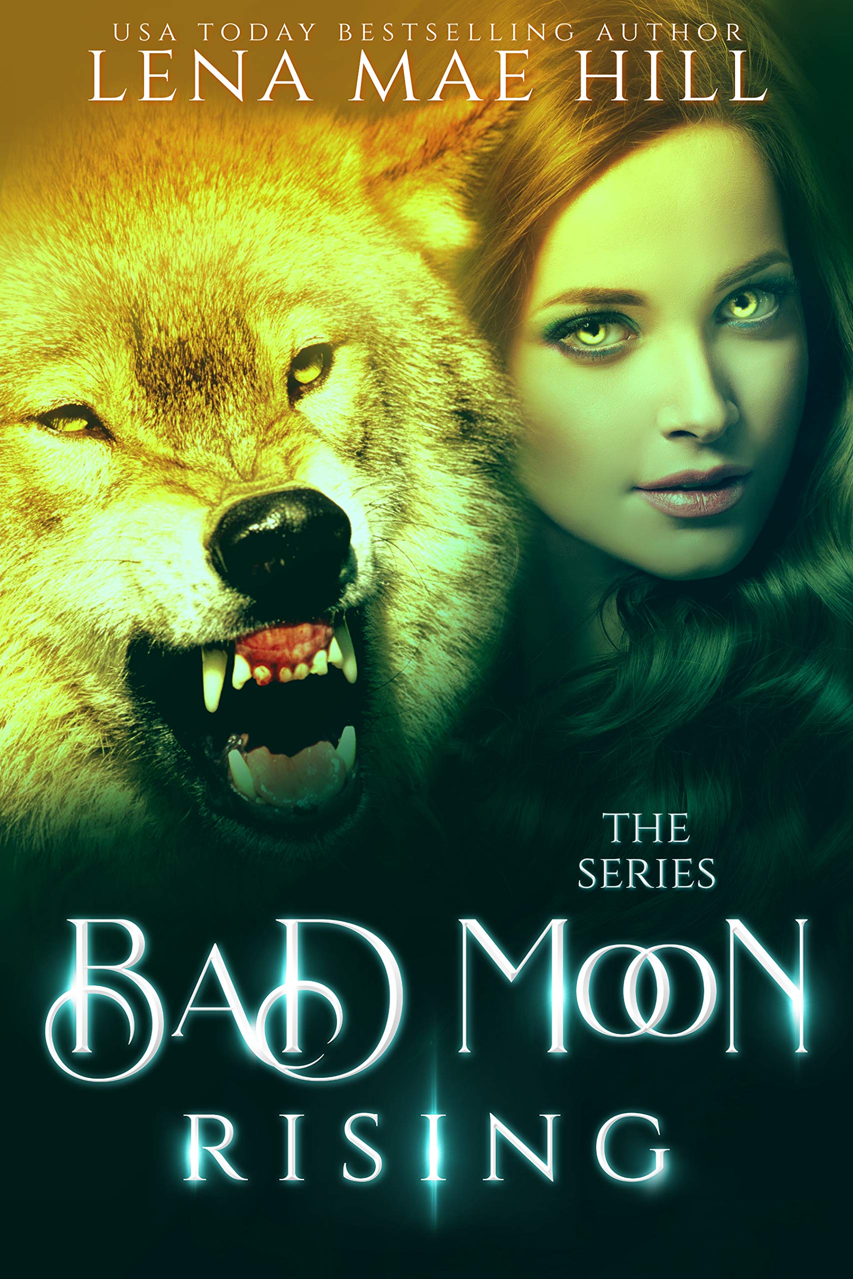 Bad Moon Rising book cover