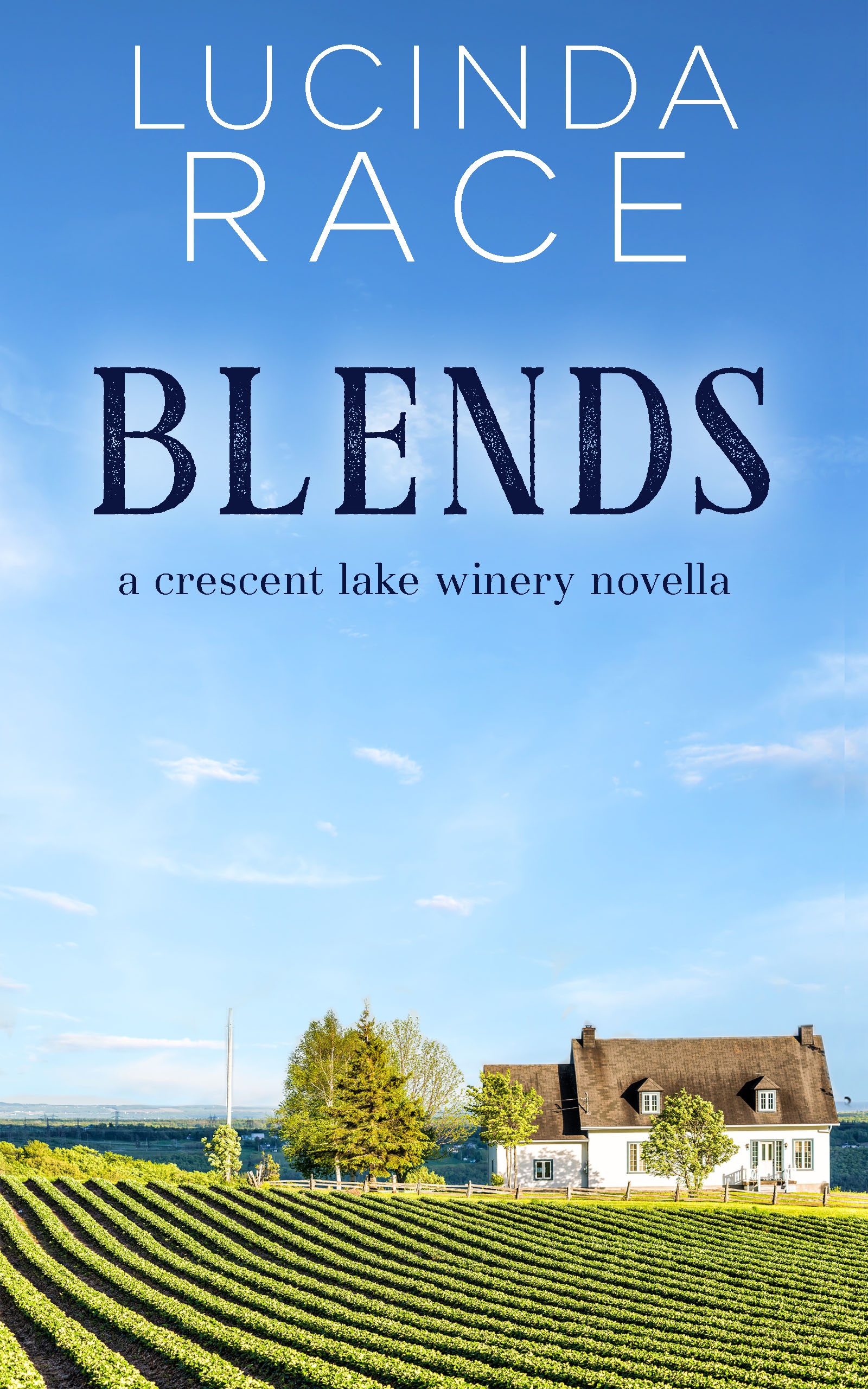 Blends book cover
