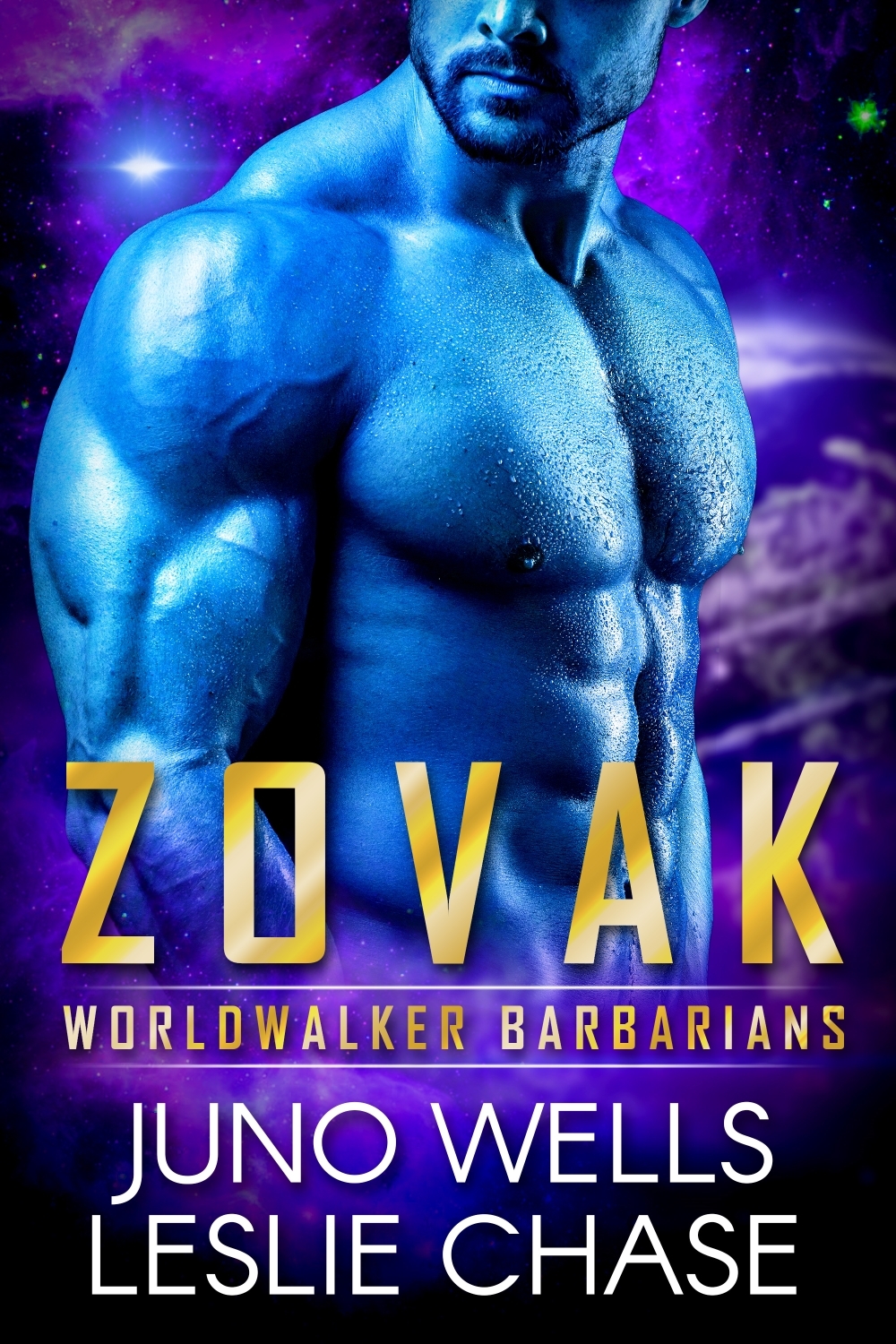 Worldwalker Barbarians book cover 1