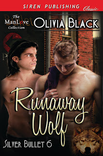 Runaway Wolf book cover