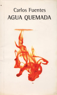 Burnt Water book cover