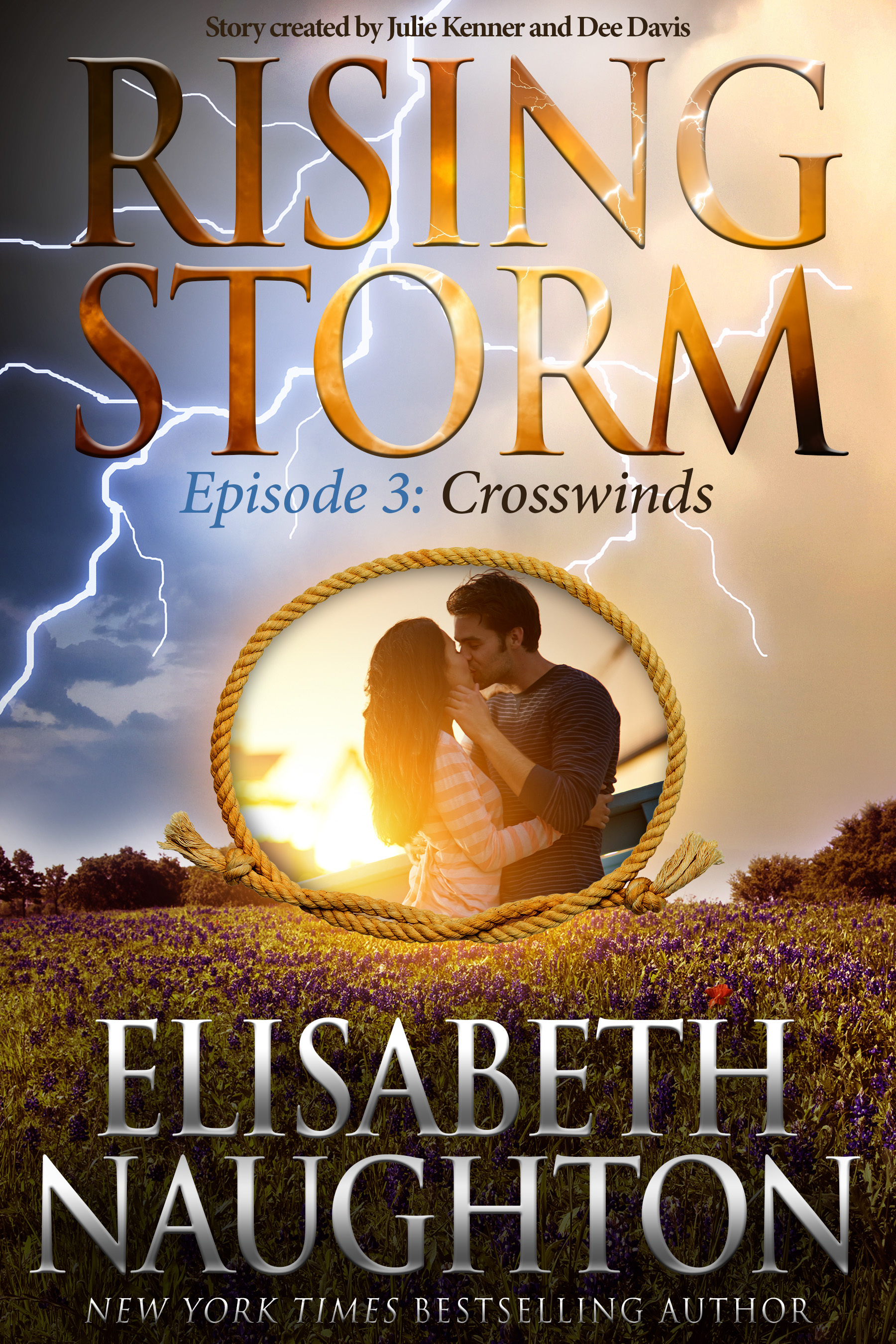 Rising Storm book cover 3