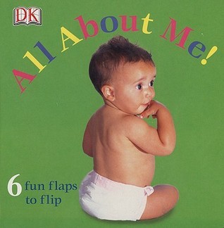 FUN FLAPS book cover