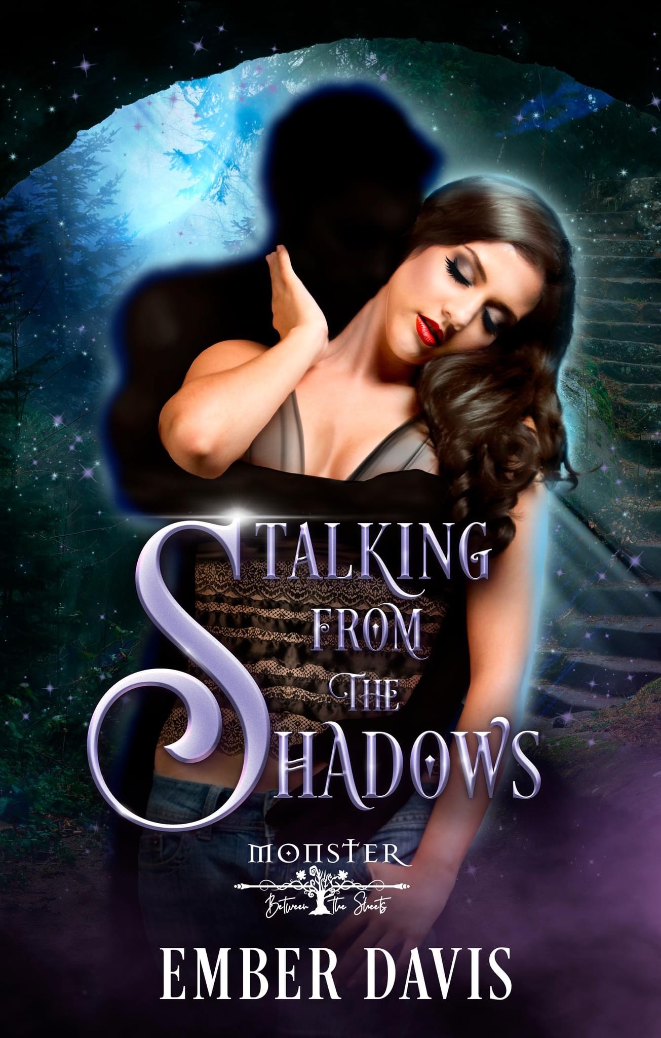Stalking From the Shadows book cover