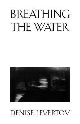 Breathing the Water book cover
