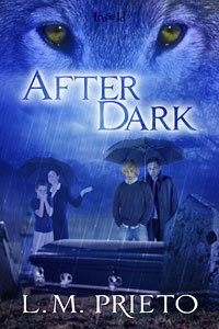 After book cover 1