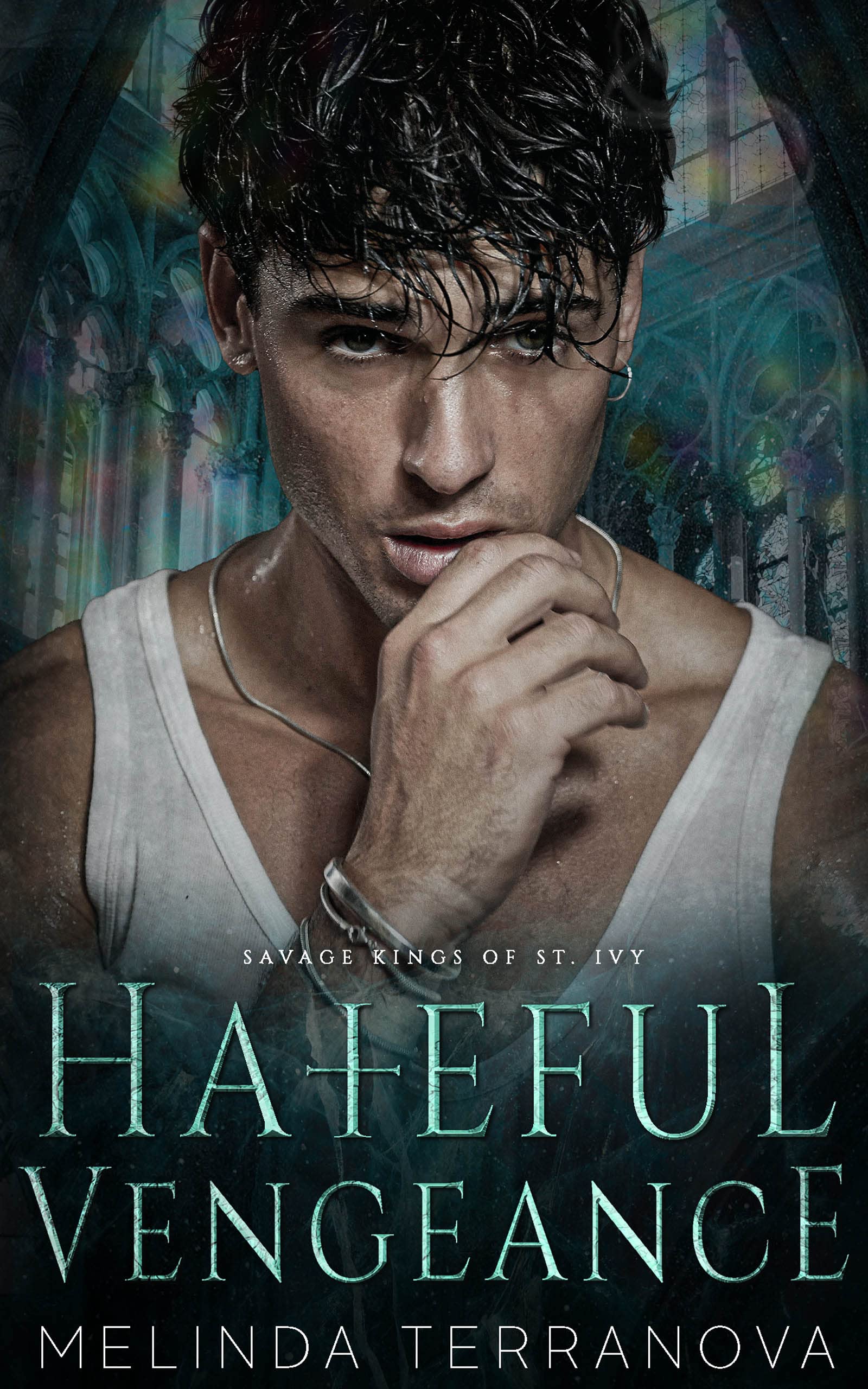 Hateful Vengeance book cover