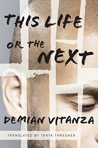 This Life or the Next book cover