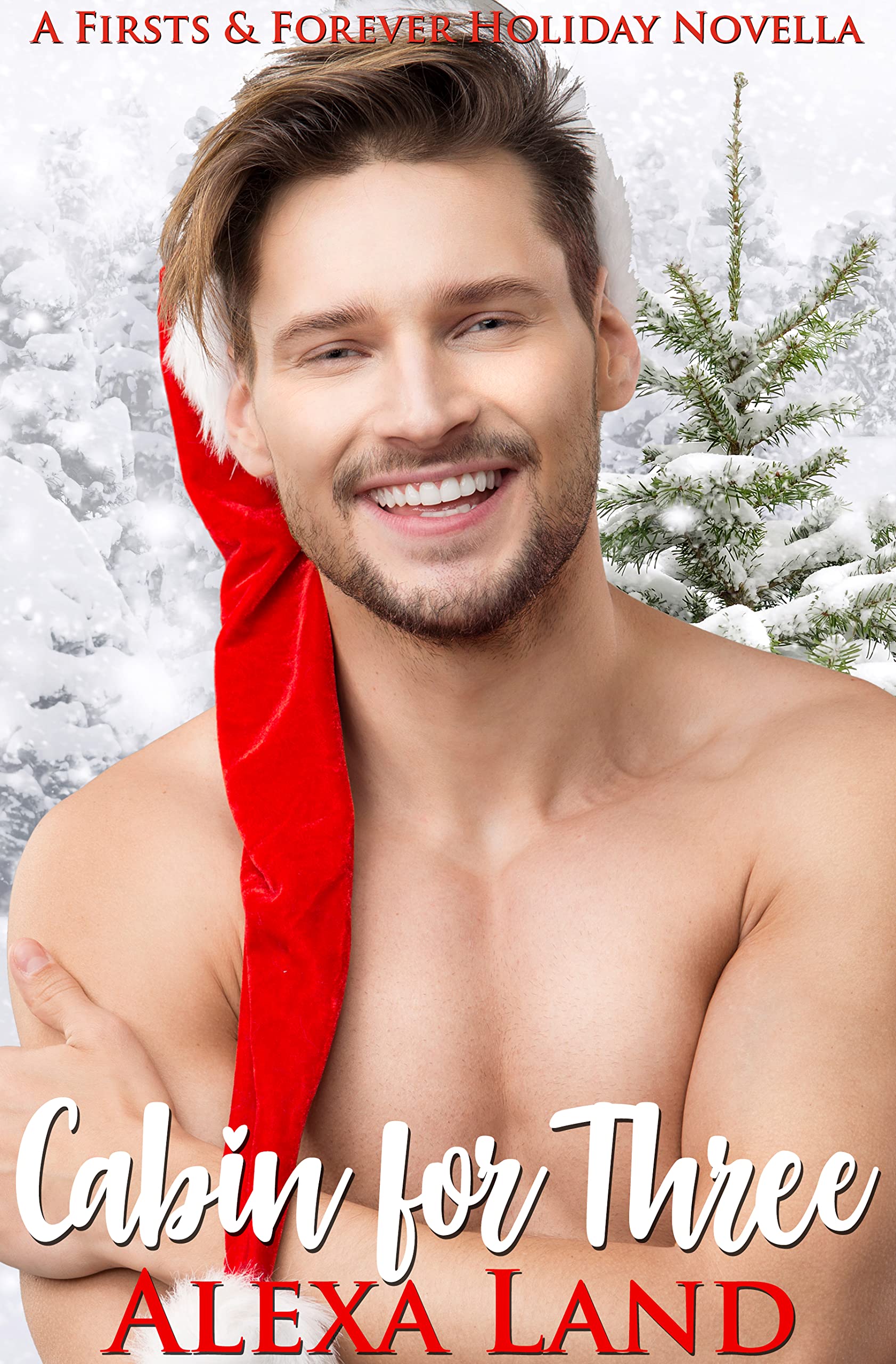 Cabin for Three book cover