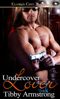 Covert Attractions book cover 2