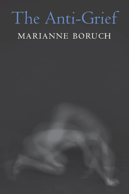 The Anti-Grief book cover