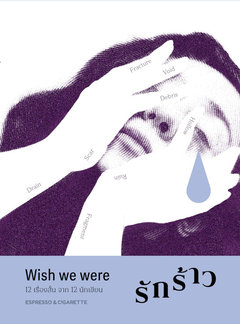 Wish we were รักร้าว book cover