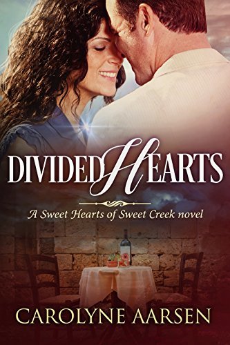 Divided Hearts book cover