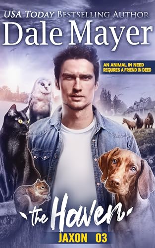 The Haven book cover 3