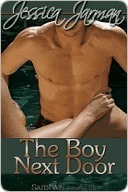The Boy Next Door book cover