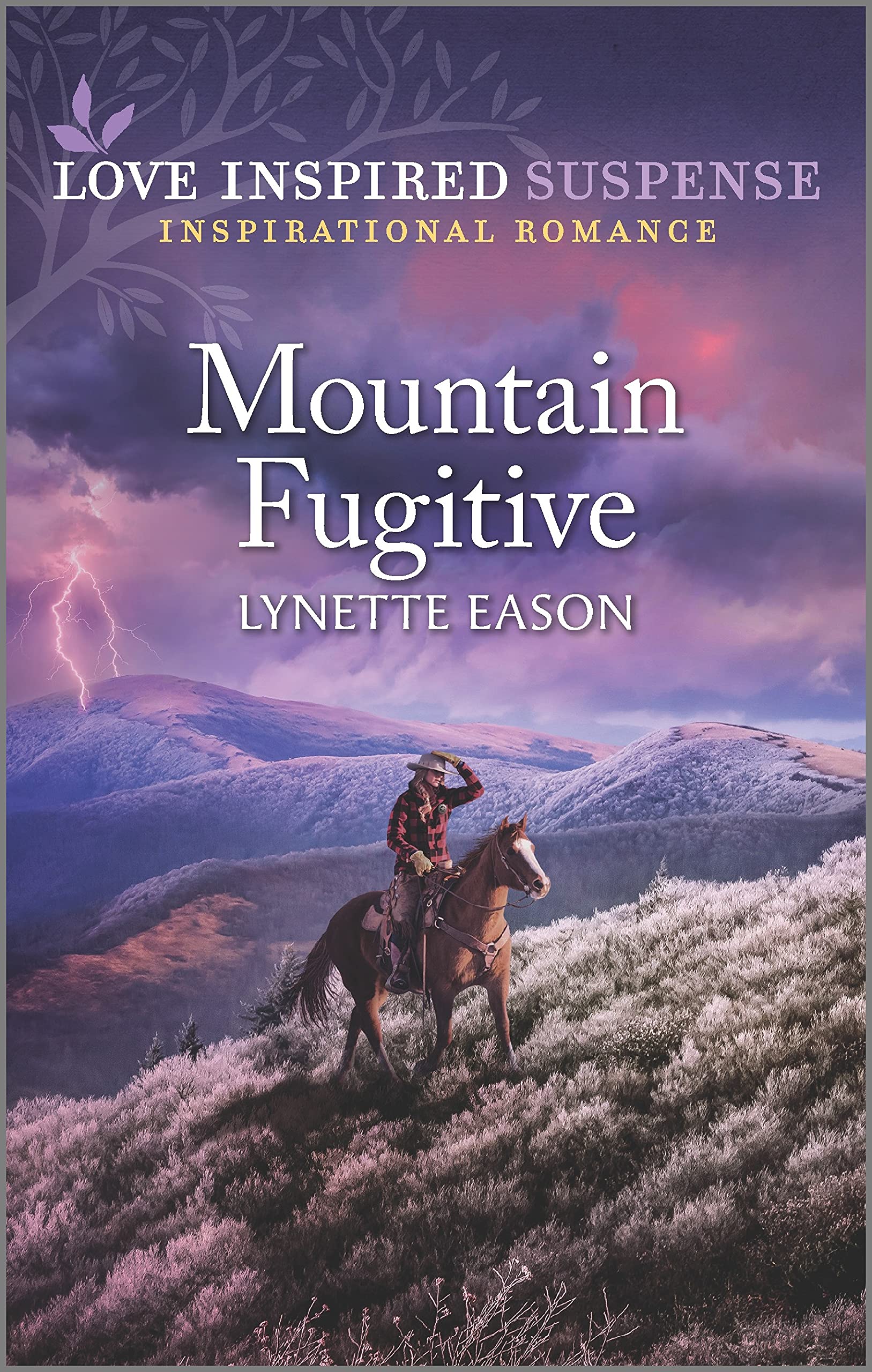 Mountain Fugitive book cover