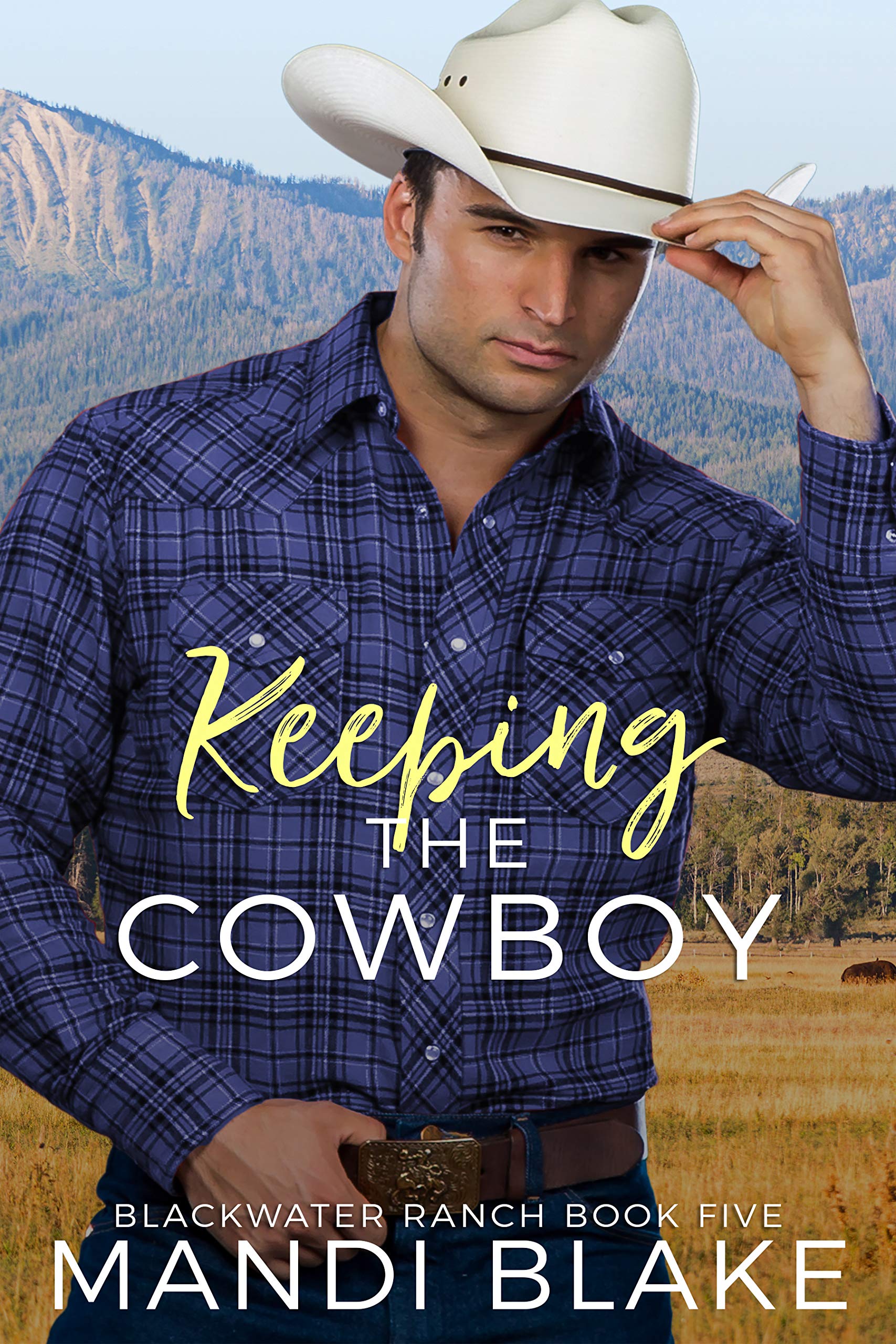 Keeping the Cowboy book cover