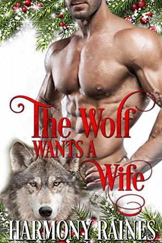 Second Chance Christmas in Bear Creek book cover 2