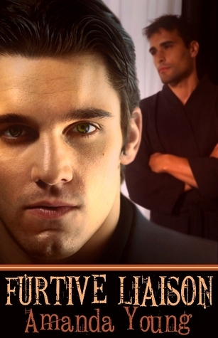 Furtive Liaison book cover