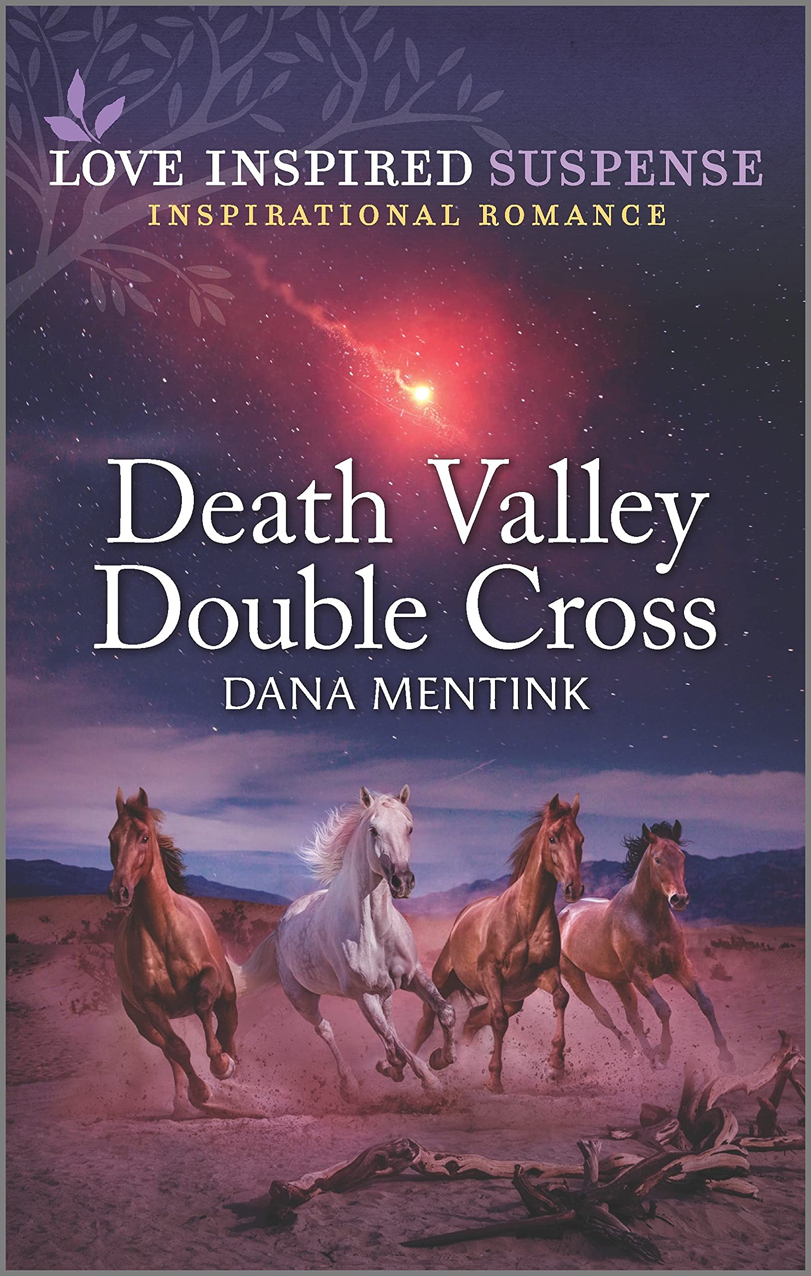Desert Justice book cover 3