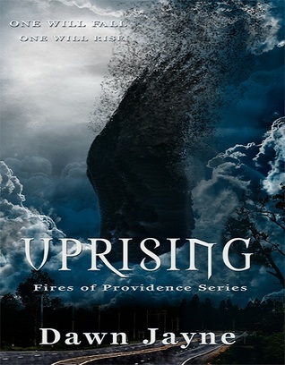 Fires of Providence book cover 1