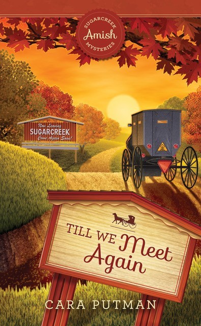 Till We Meet Again book cover