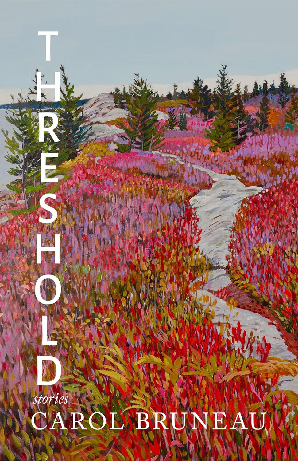 Threshold book cover