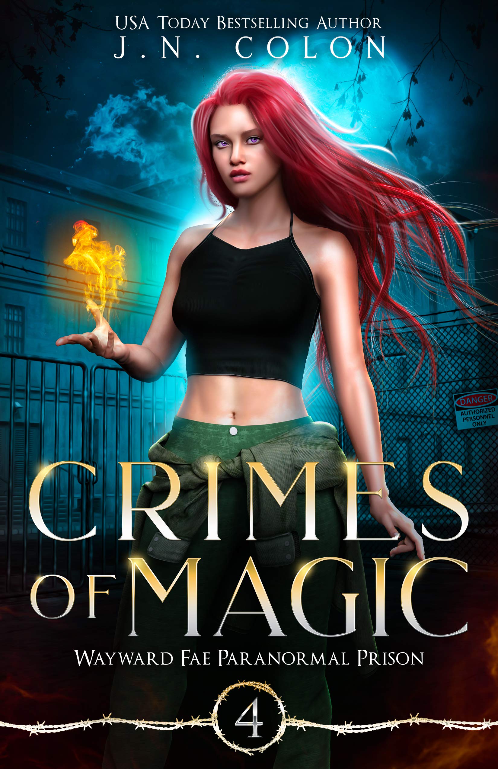 Crimes of Magic book cover