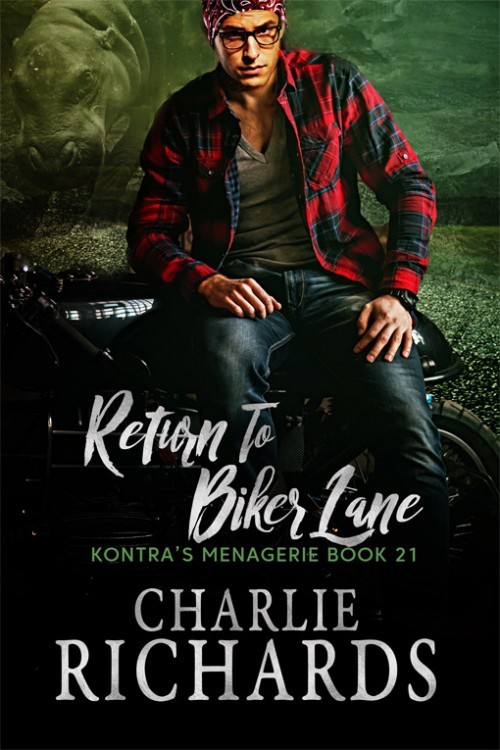 Return To Biker Lane book cover