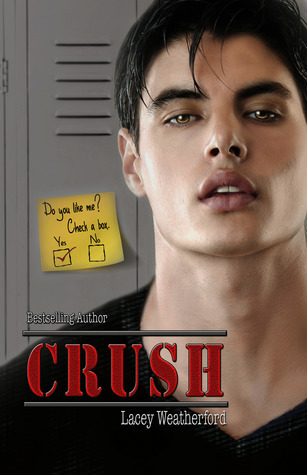 Crush book cover 1