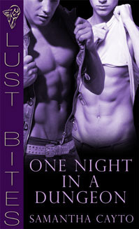 One Night in a Dungeon book cover