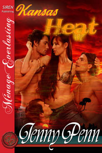 Kansas Heat book cover