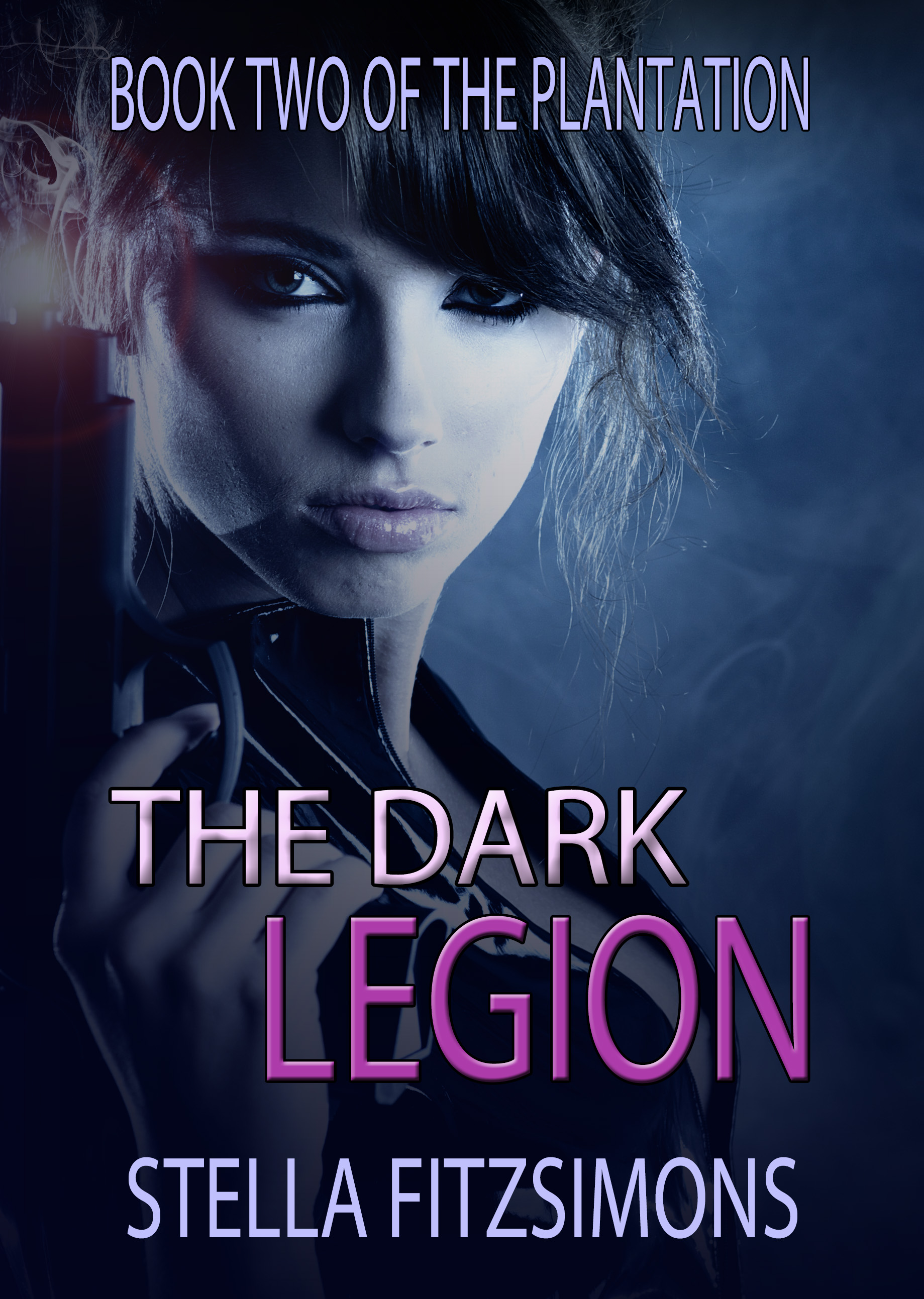 The Plantation book cover 2