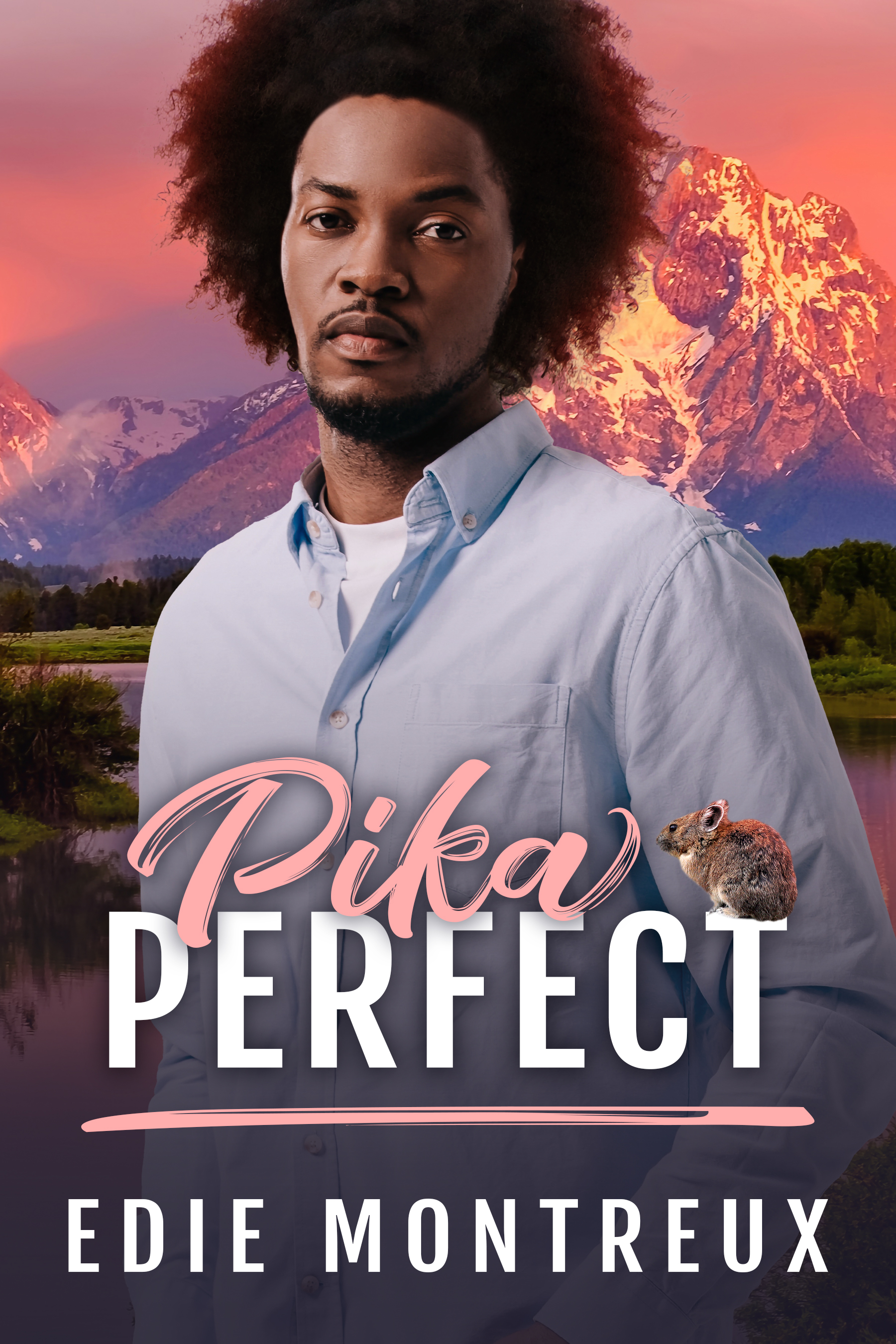 Pika Perfect book cover