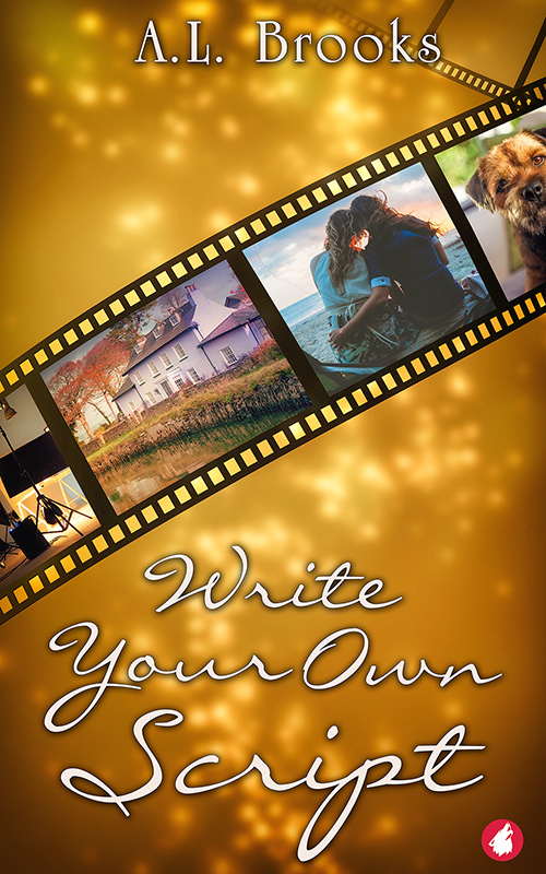Write Your Own Script book cover