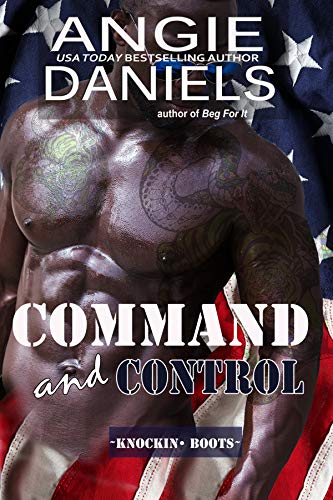 Command and Control book cover