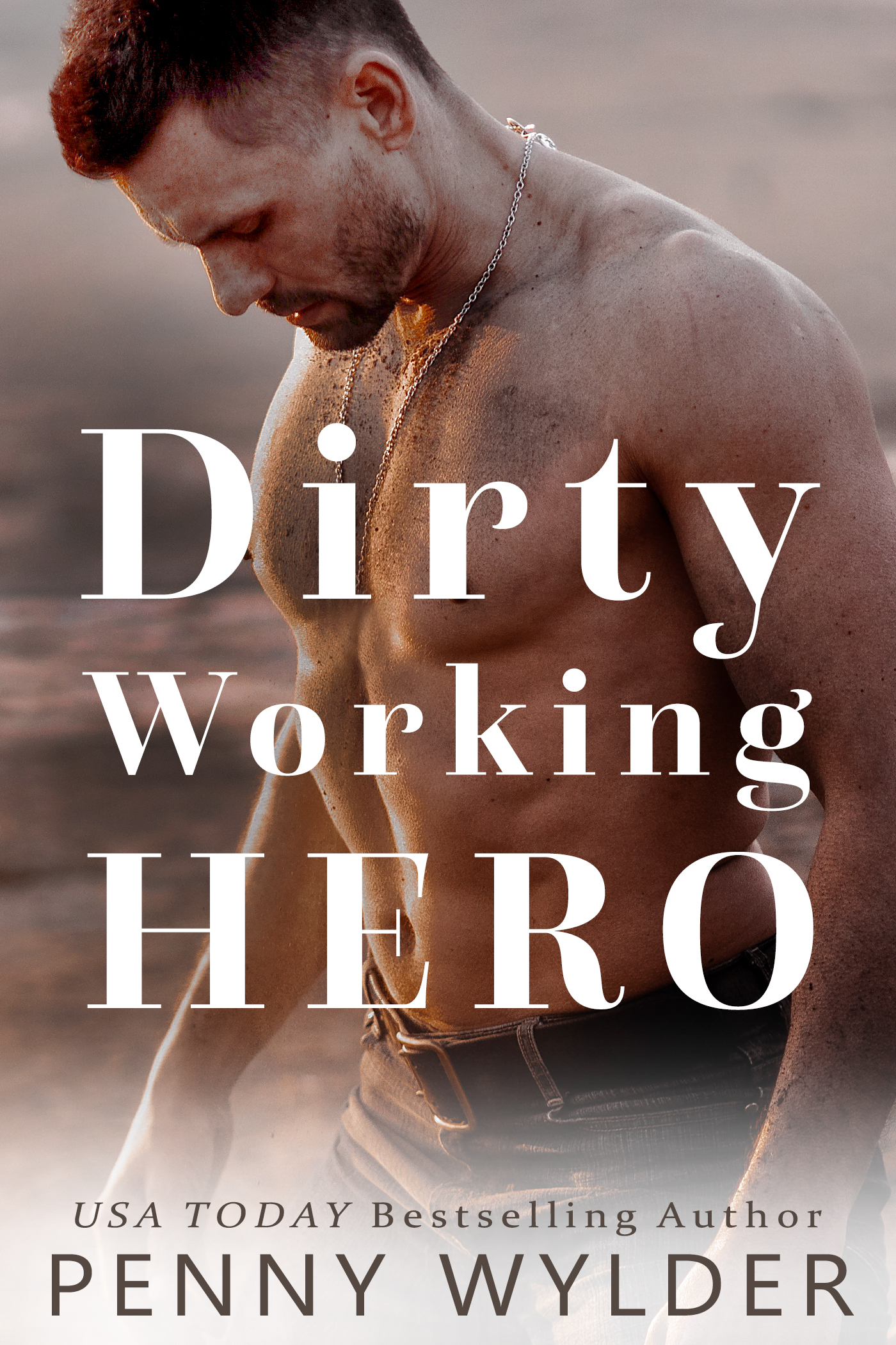 Hard Working Hero book cover 2