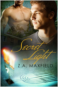 Secret Light book cover