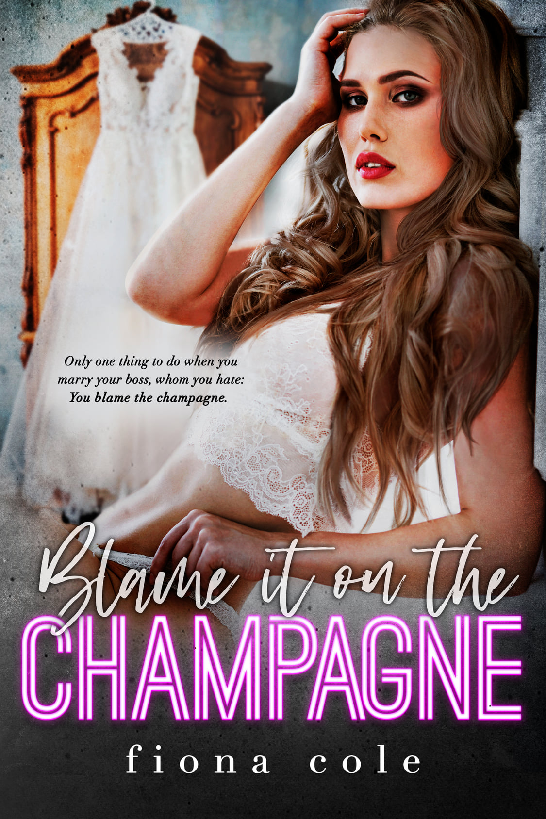 Blame it on the Alcohol book cover 1