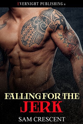 Falling in Love book cover 2