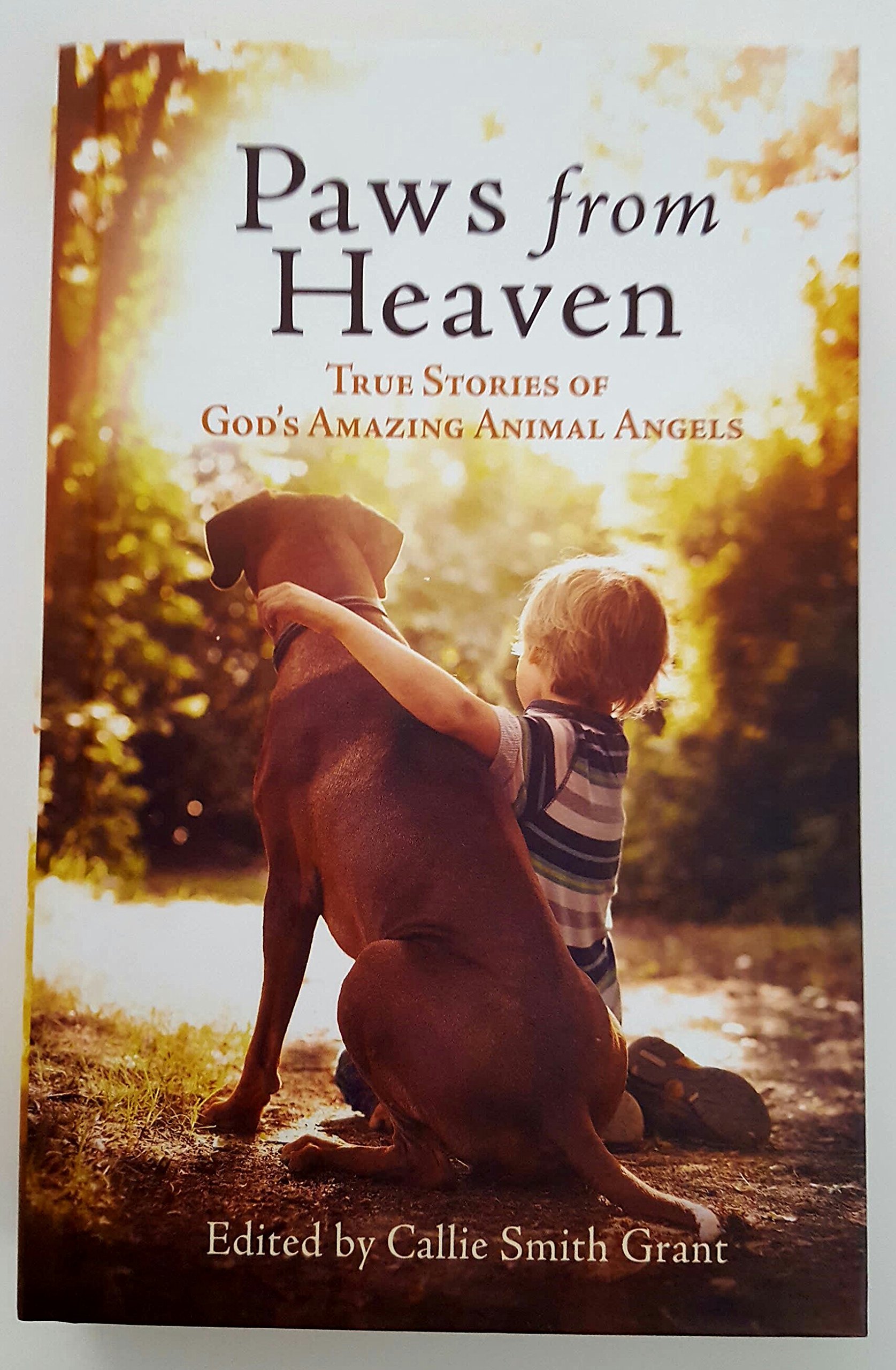 Paws from Heaven book cover