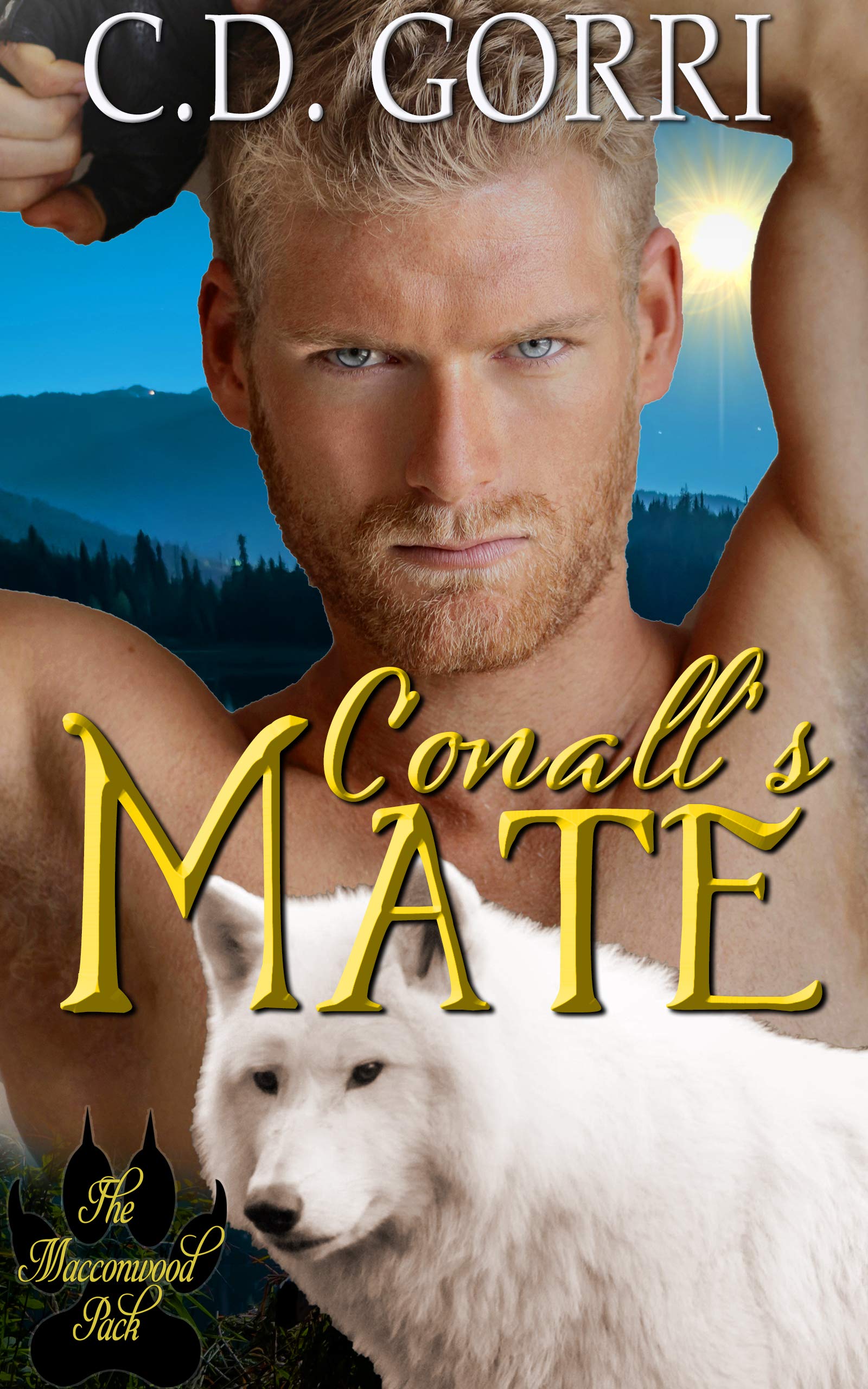 Conall's Mate book cover
