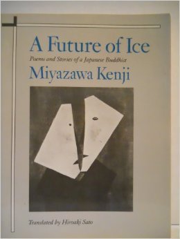 A Future of Ice book cover