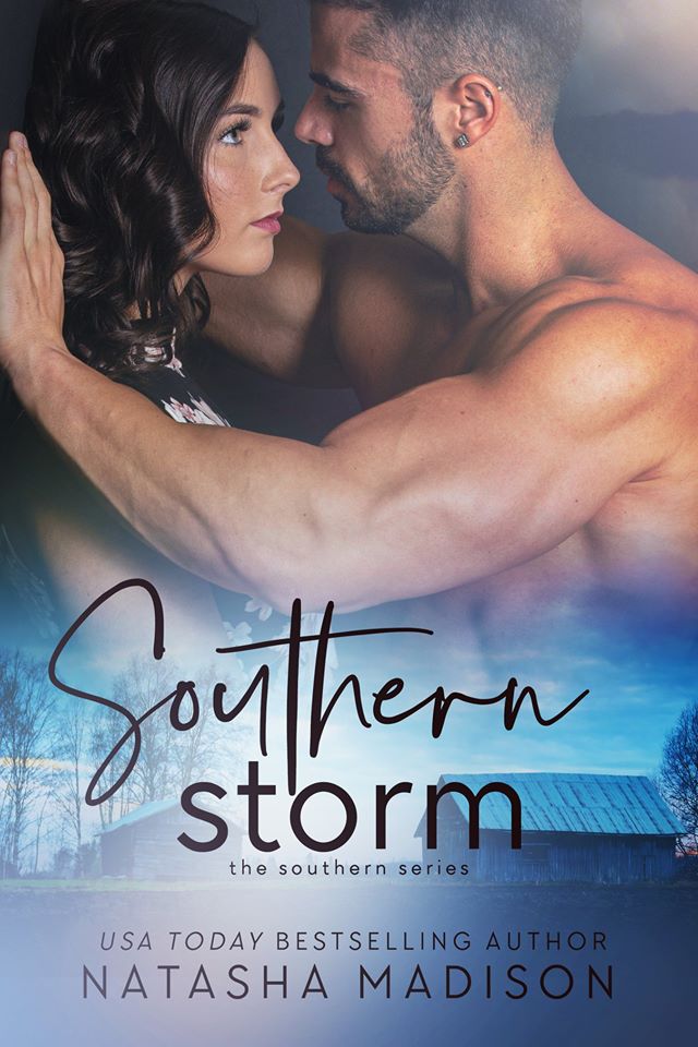 Southern book cover 3