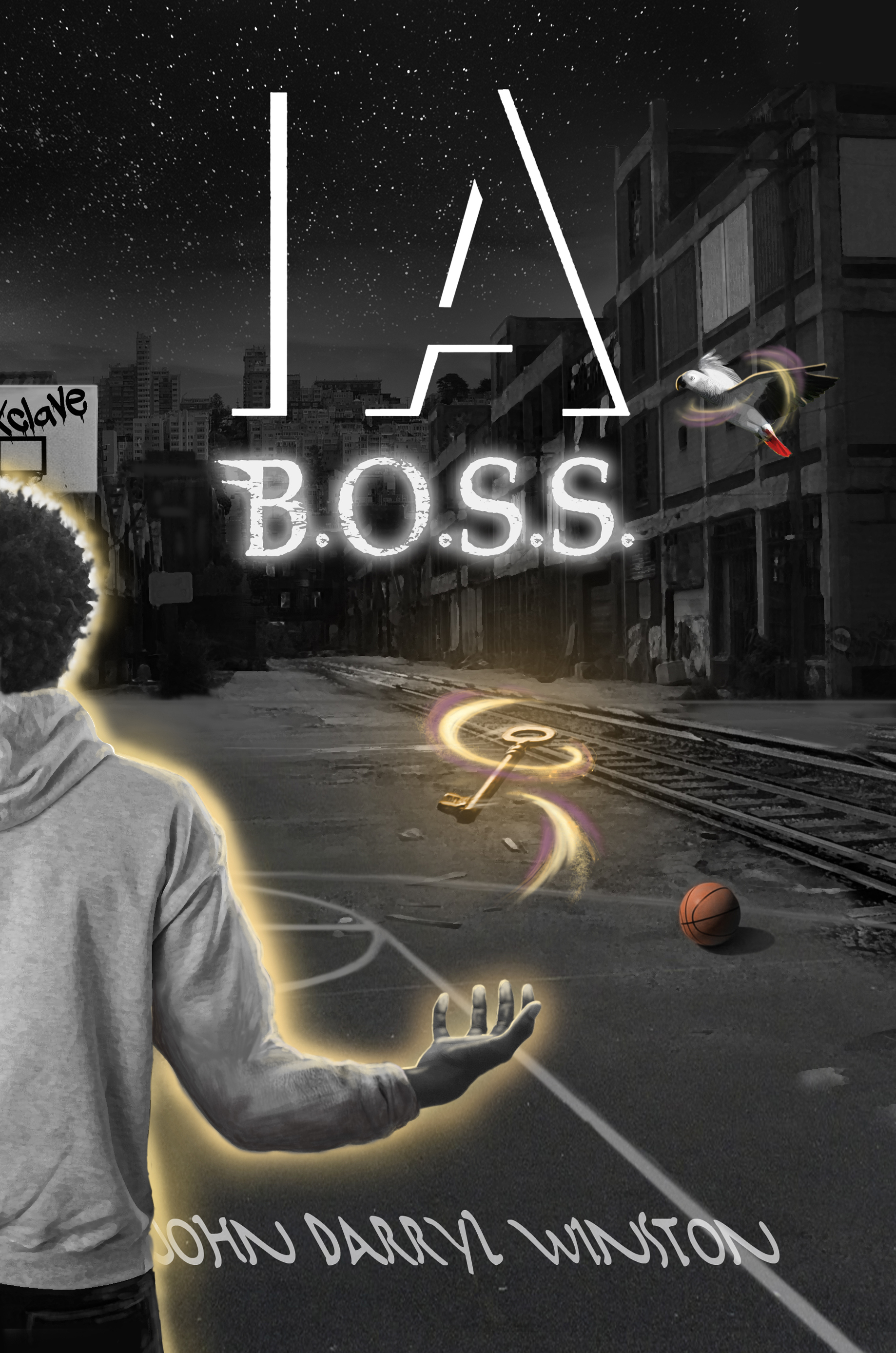 IA book cover 2