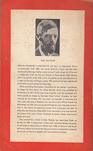St Mawr The Virgin and the Gipsy book cover