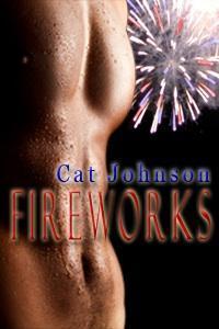 Fireworks book cover
