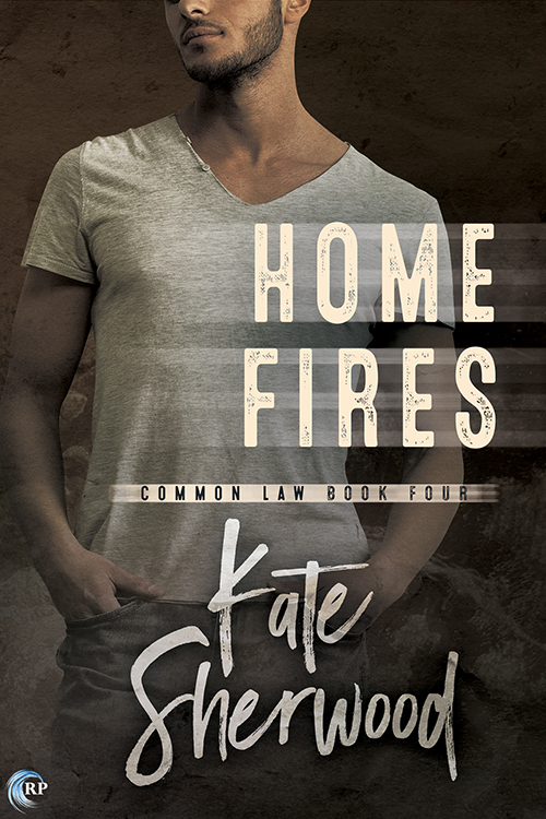 Home Fires book cover