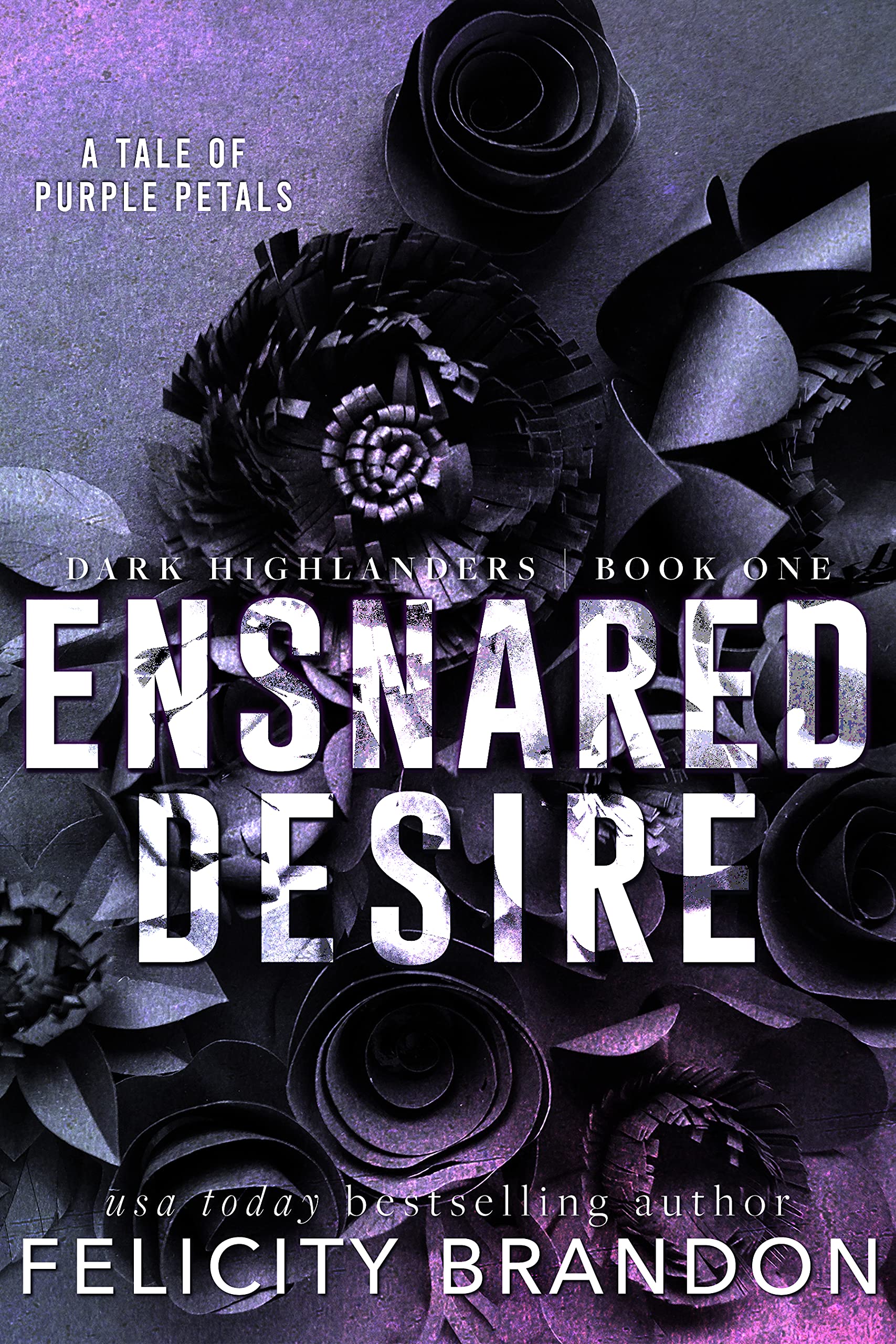 Dark Highlanders book cover 1