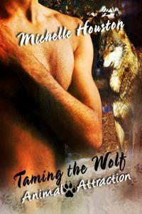 Animal Attraction book cover 1